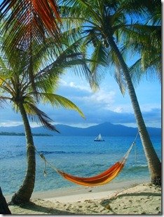 hammock